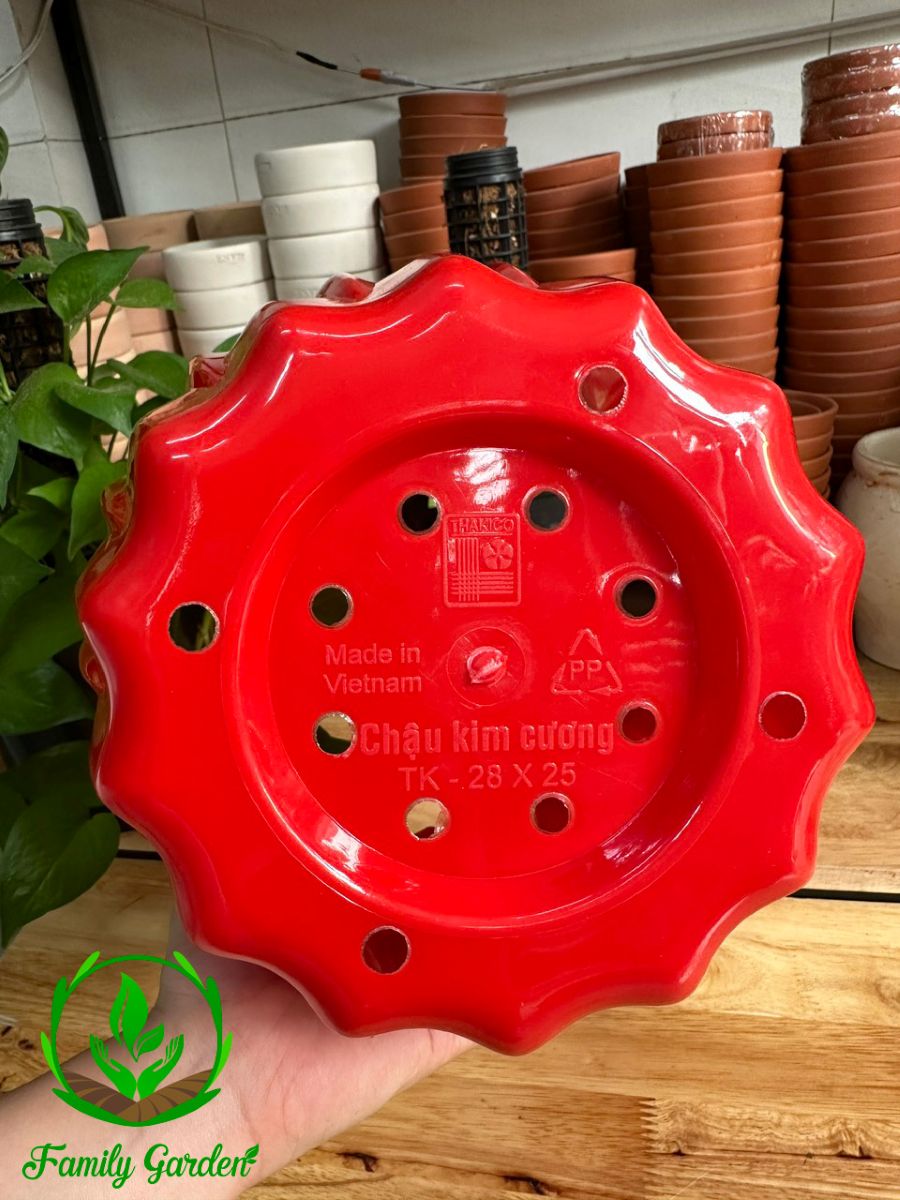 Ảnh chụp đáy chậu nhựa kim cương Thakico - Đỏ - Size 28x25cm | Độc quyền Family Garden