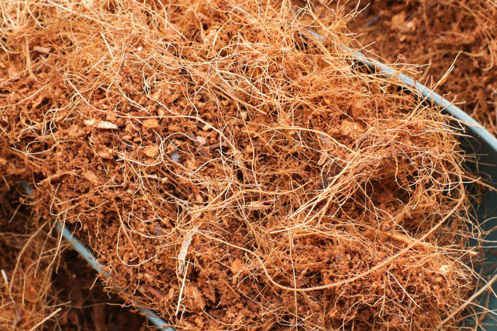 Giá thể xơ mụn dừa trồng cây mùa đông